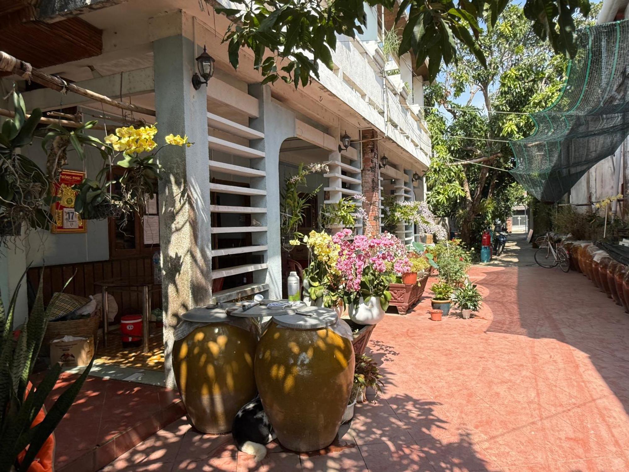 Island Homestay Tien Giang My Tho Exterior photo